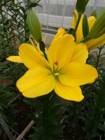 [5706 DJ AZ-05 No02.JPG]